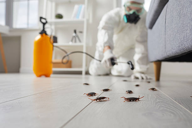 Commercial Kitchen Cockroach Control in Marianne